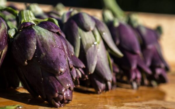 Una domenica sui colli bolognesi con il Violetto di San Luca, tra gusto, tradizioni e solidarietà